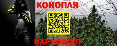 гашик Краснокаменск
